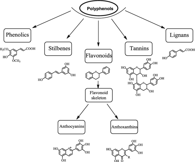 Polyphenol Structure